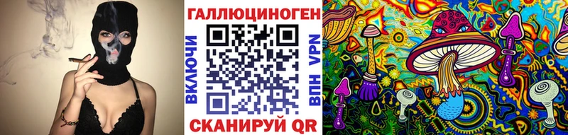 Галлюциногенные грибы GOLDEN TEACHER  маркетплейс какой сайт  Гусь-Хрустальный 