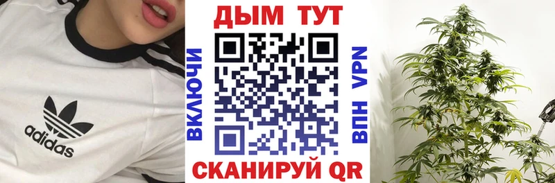 omg сайт  Гусь-Хрустальный  Каннабис марихуана 
